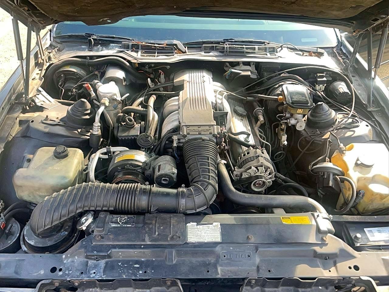 1988 Pontiac Firebird Trans Am - Фото 7