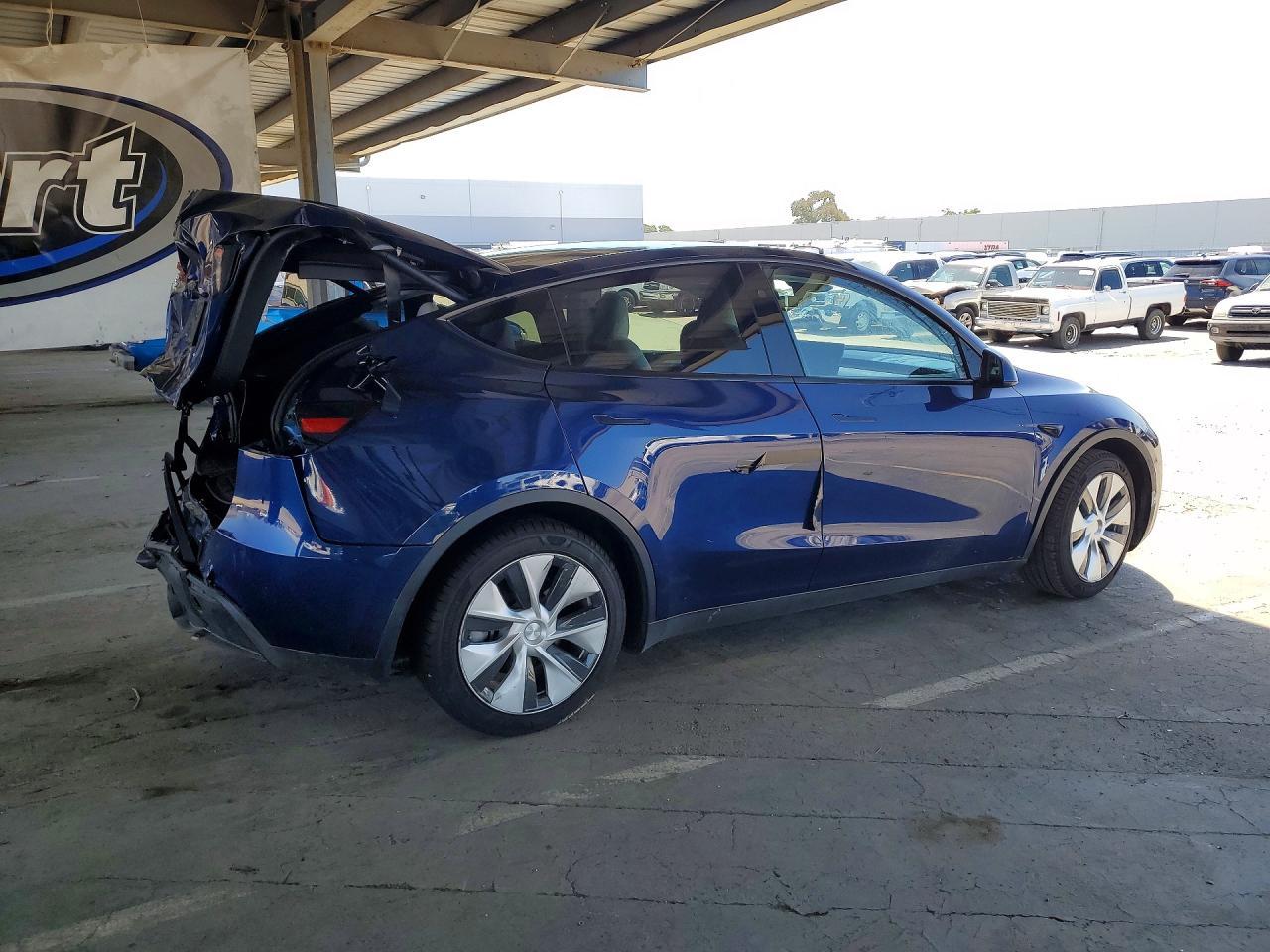 2023 Tesla Model Y - Фото 3