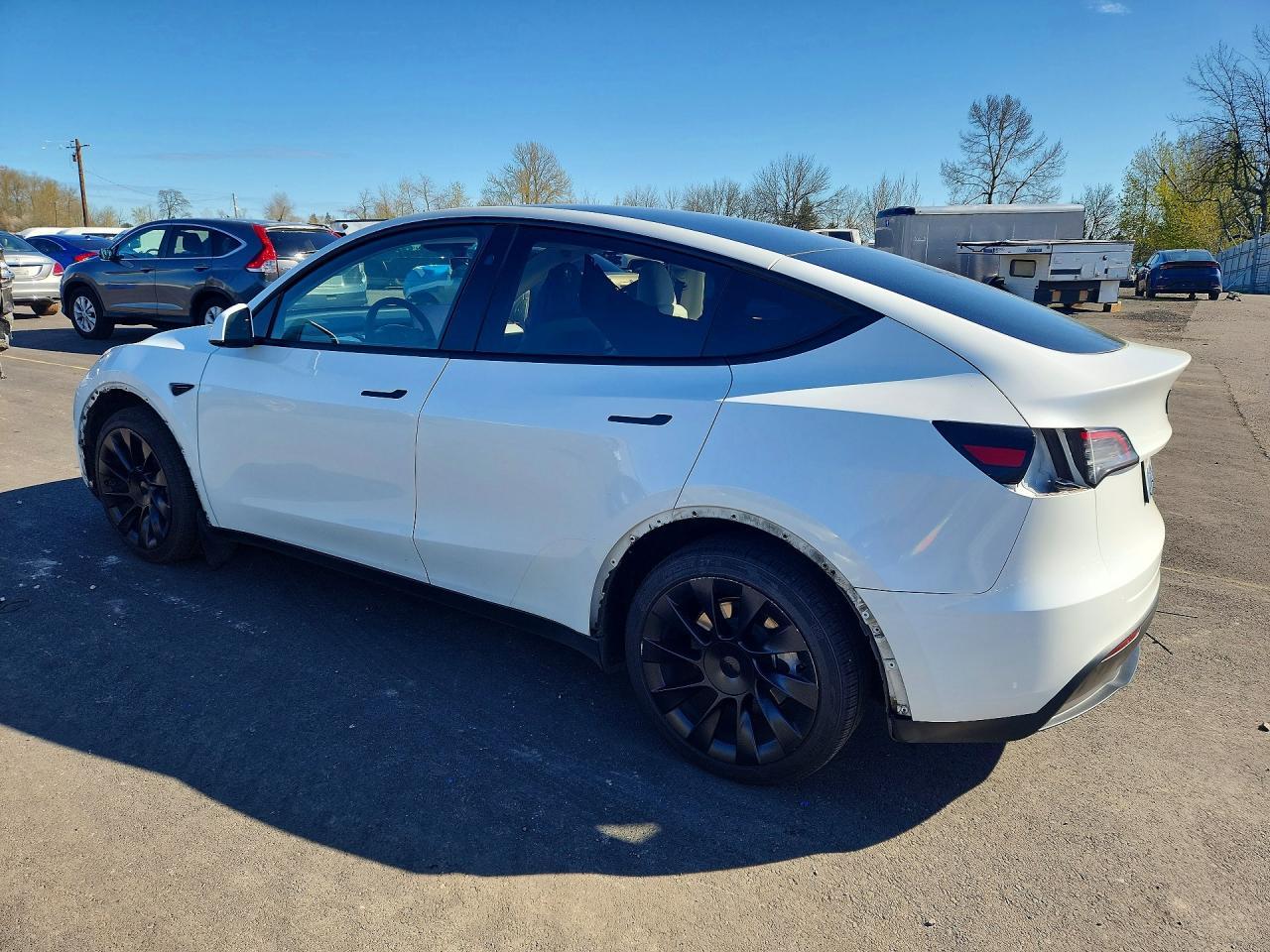 2024 Tesla Model Y - Фото 2