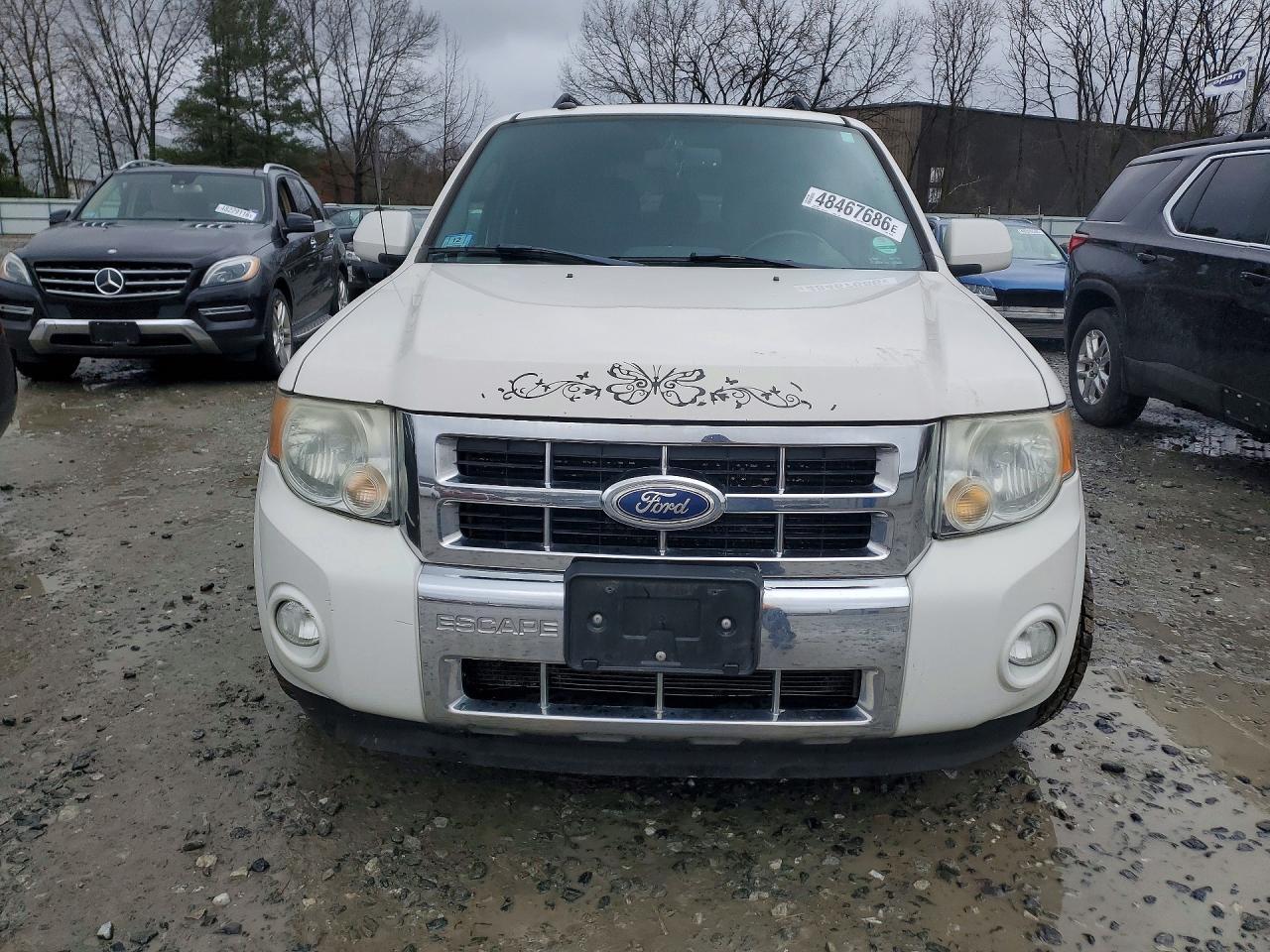 2011 Ford Escape Limited - Image 5