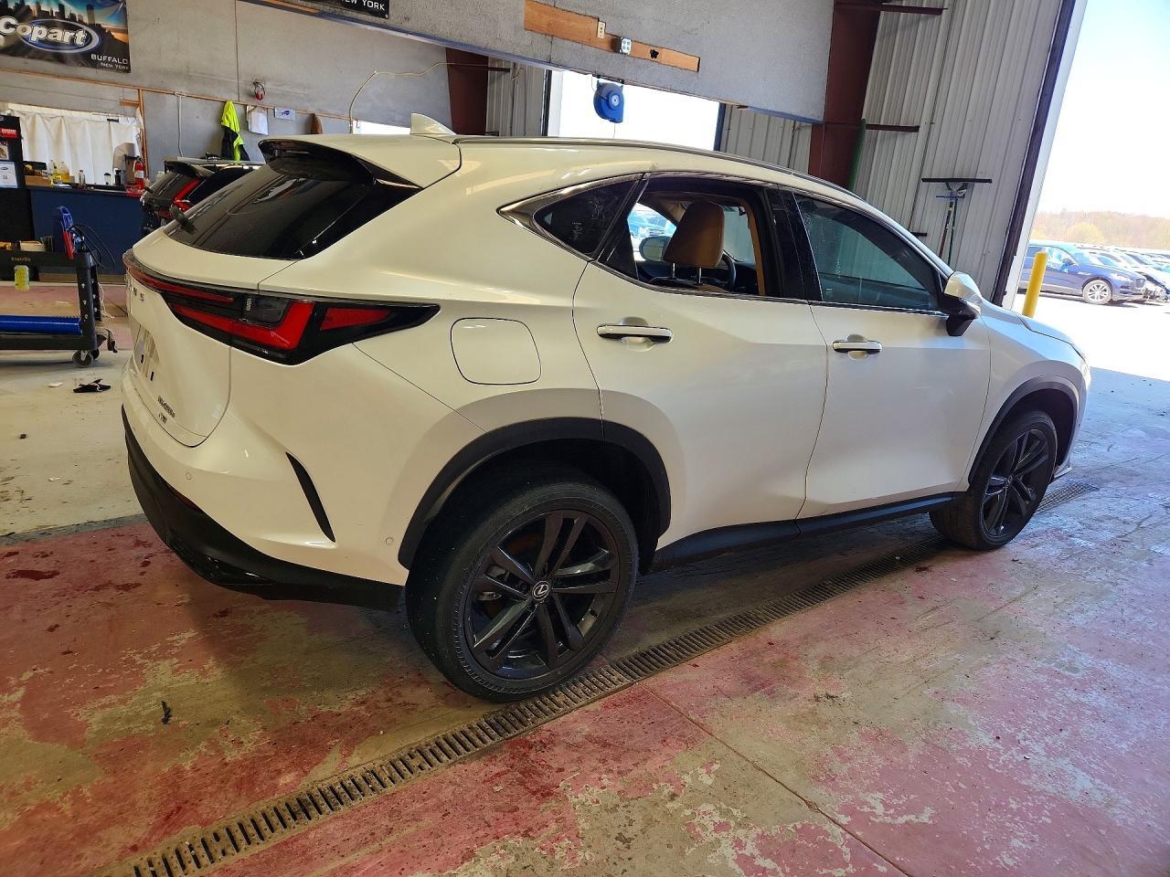 2025 Lexus Nx 450H Luxury - Фото 3