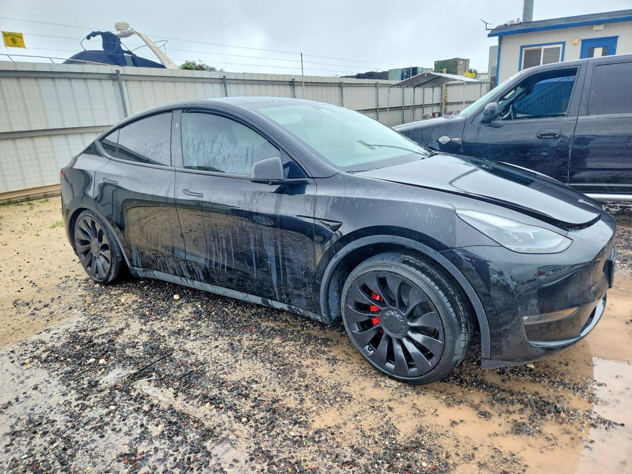 2023 Tesla Model Y - Фото 4