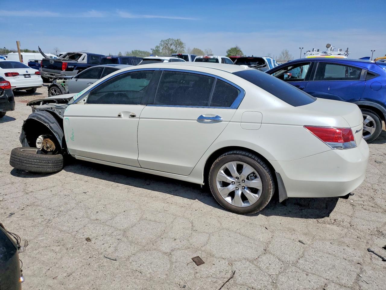 2009 Honda Accord Exl - Фото 2