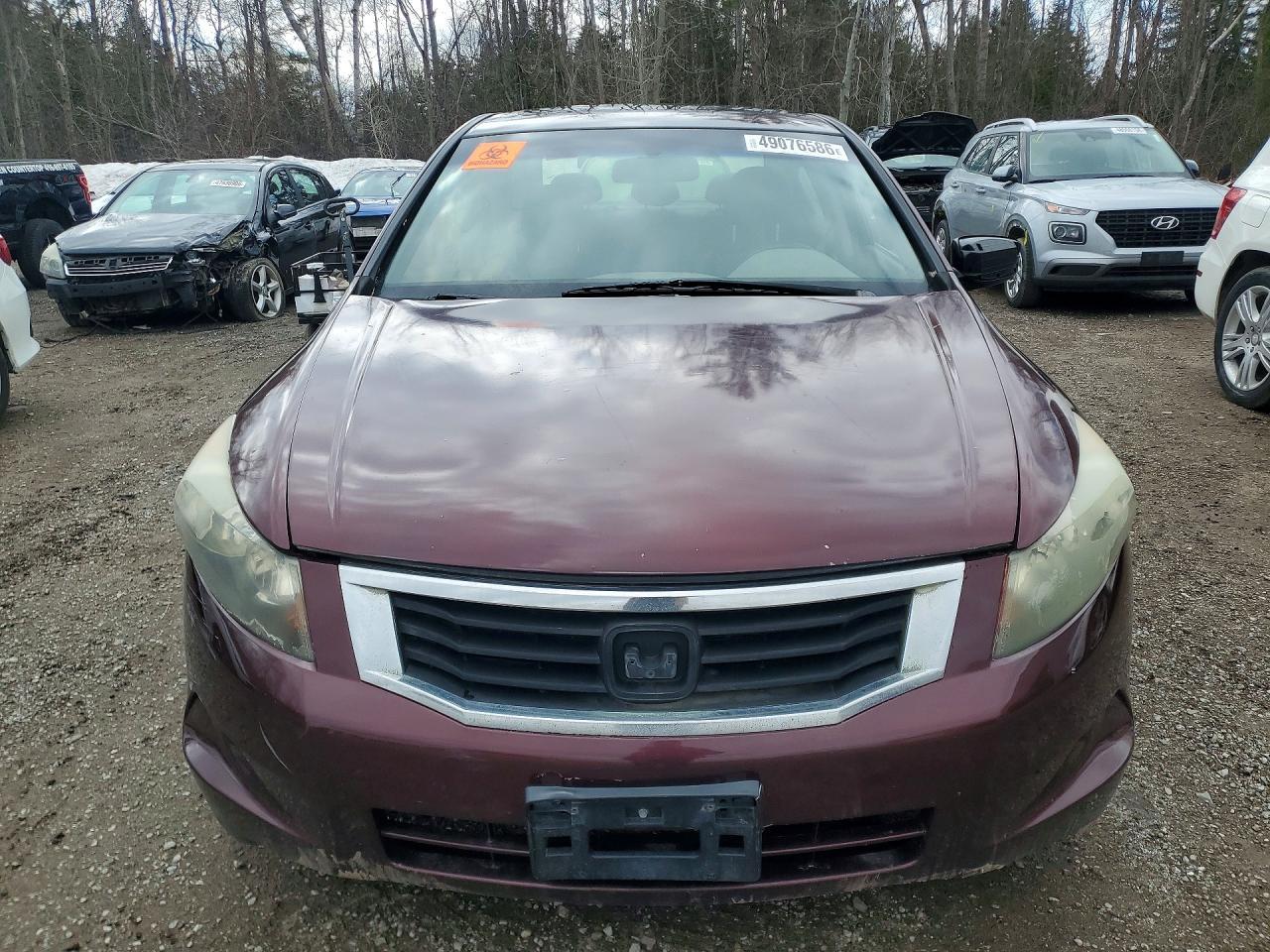 2008 Honda Accord Exl - Image 5