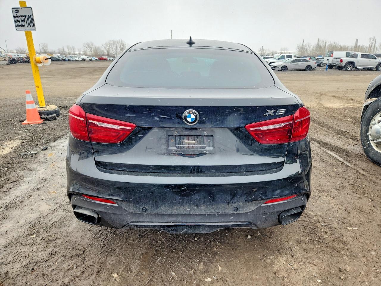2018 BMW X6 xDrive35I - Фото 6