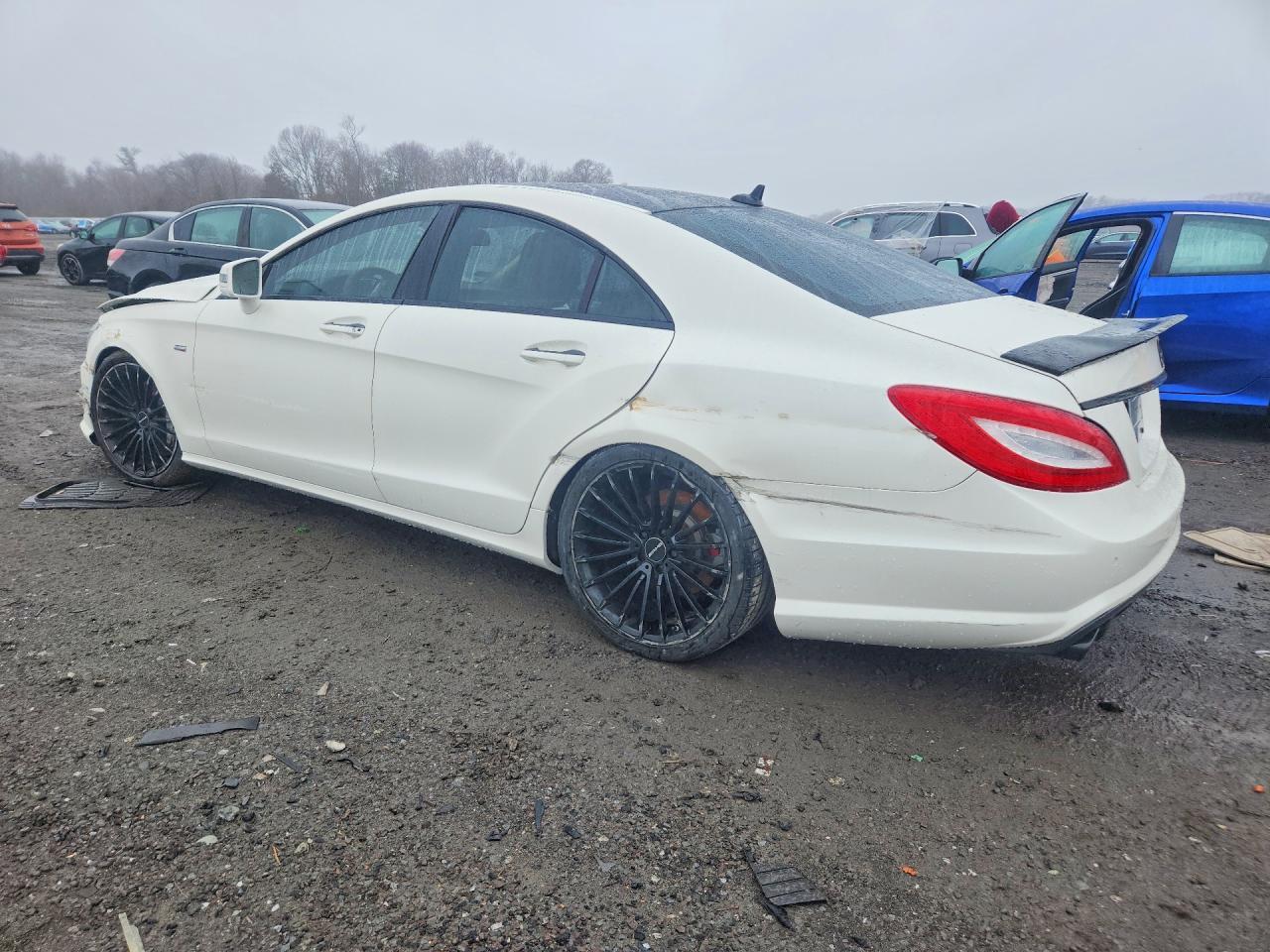 2014 Mercedes-Benz Cls 550 4Matic - Фото 2