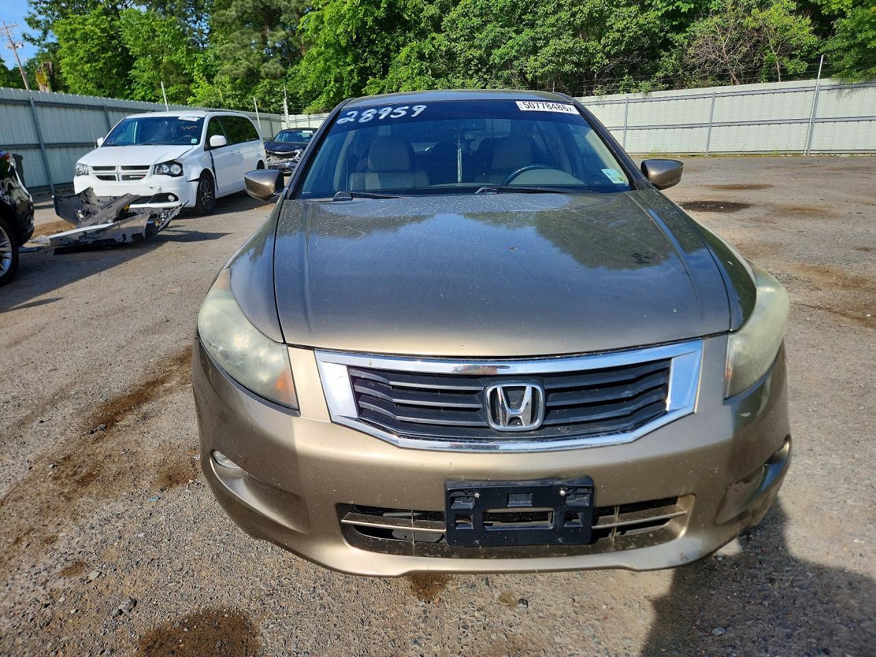 2010 Honda Accord Exl - Image 5