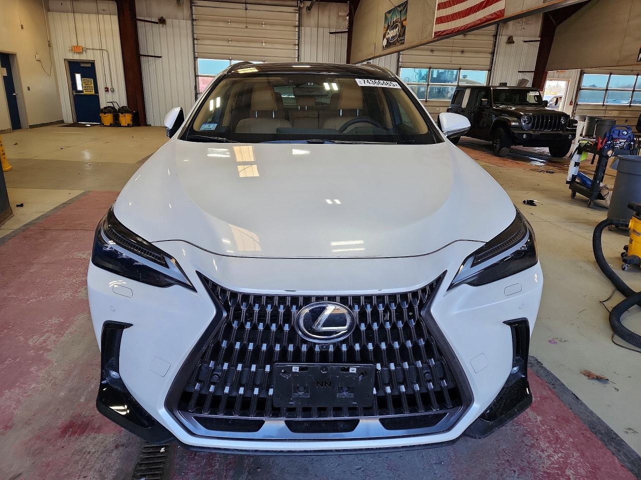 2025 Lexus Nx 450H Luxury - Фото 5
