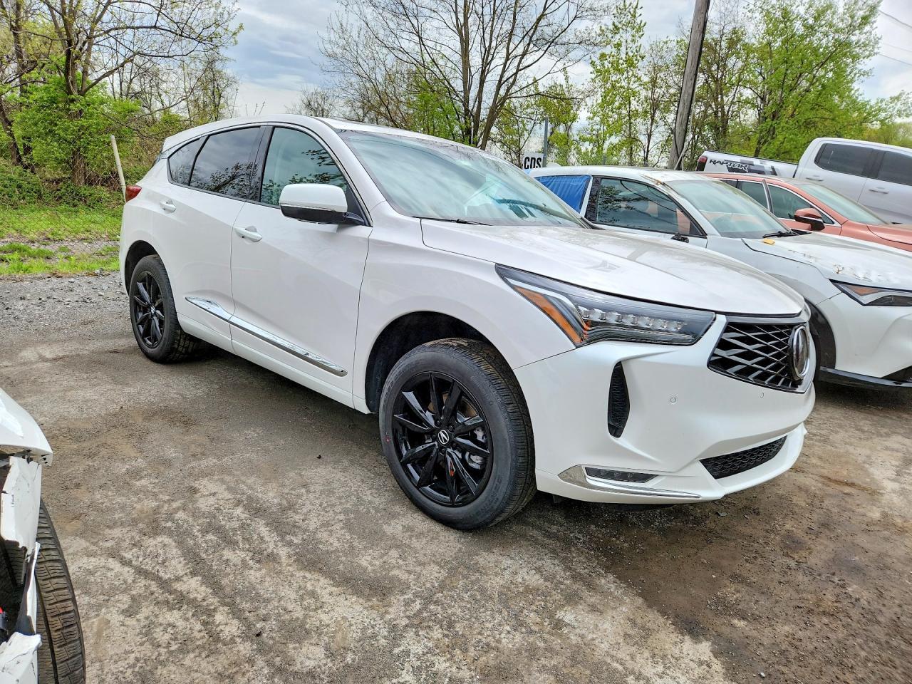 2025 Acura Rdx Advance - Фото 4