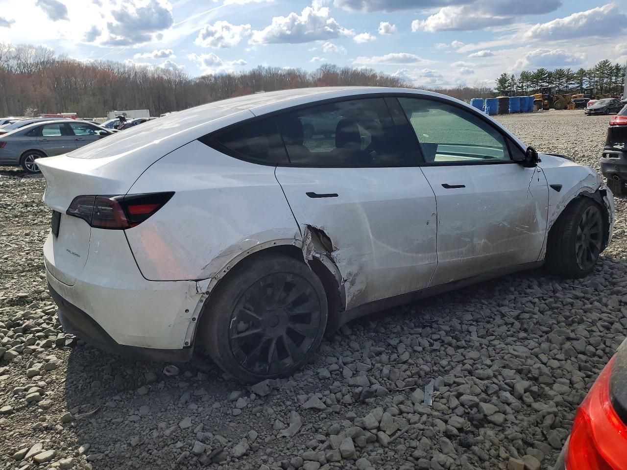 2021 Tesla Model Y - Фото 3