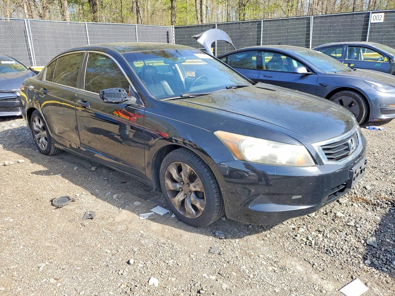 2009 Honda Accord Exl - Фото 4