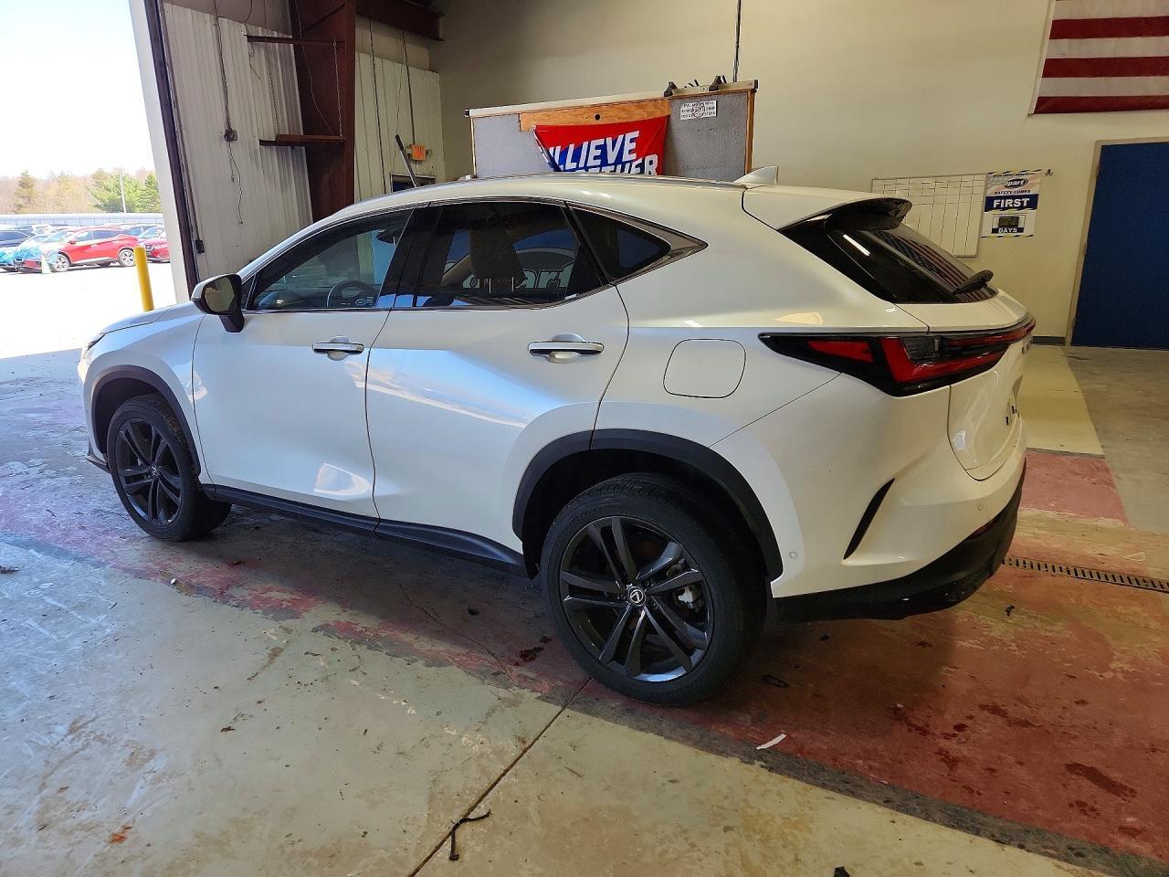 2025 Lexus Nx 450H Luxury - Фото 2