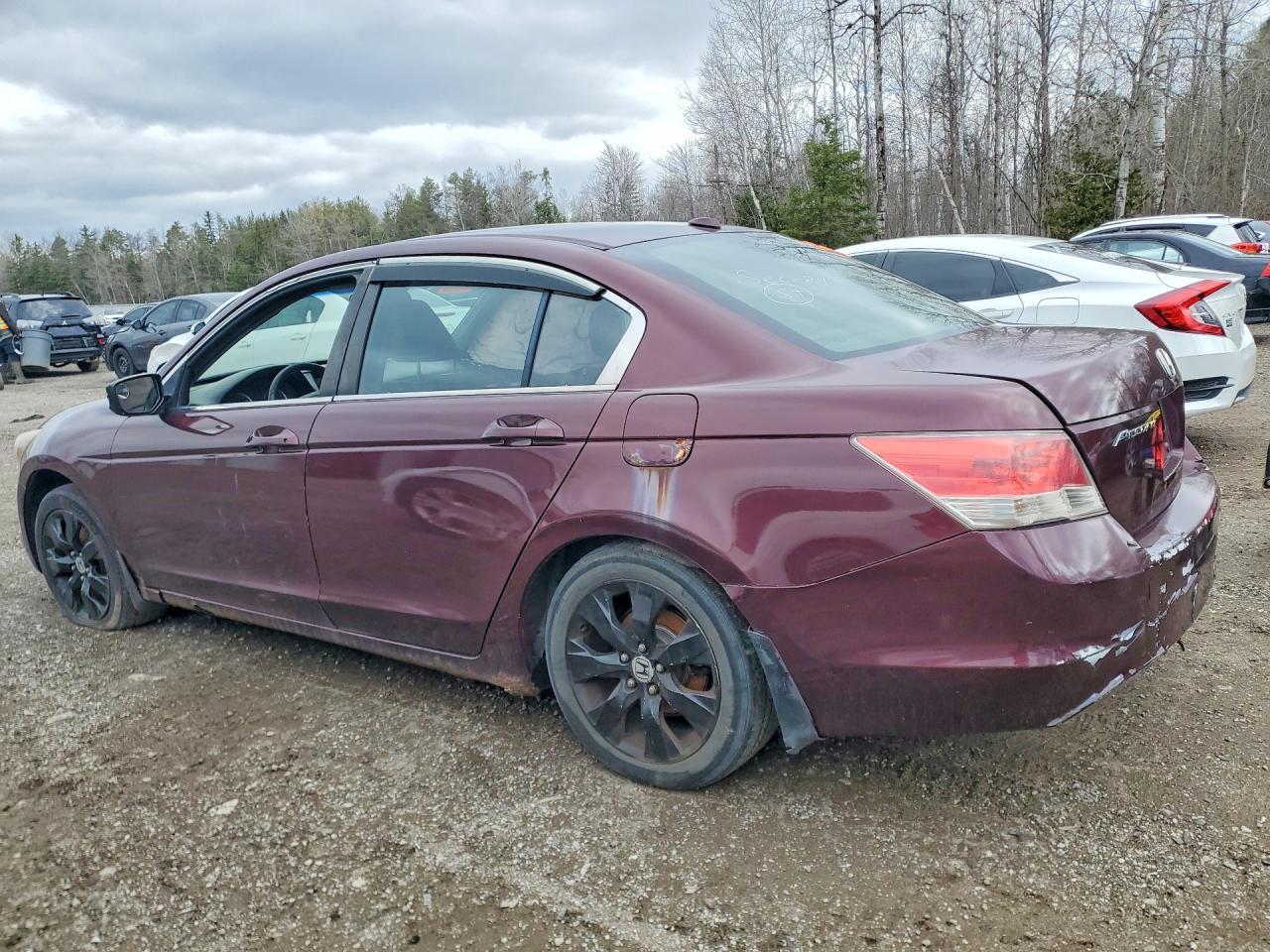 2008 Honda Accord Exl - Image 2