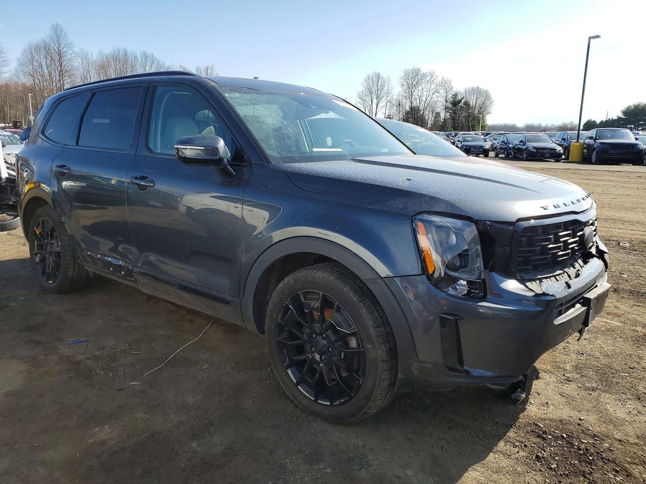 2021 Kia Telluride Sx - Image 4