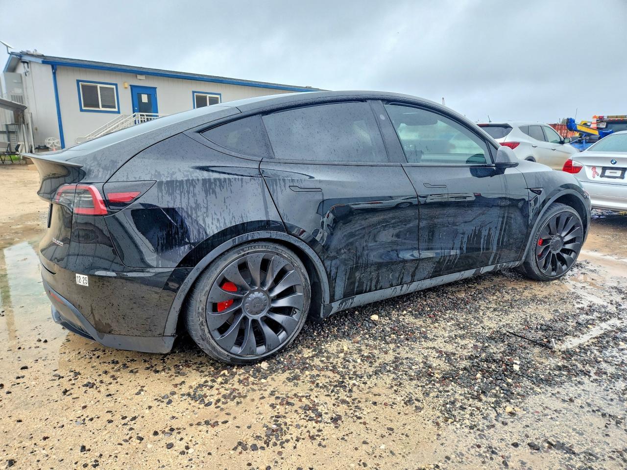 2023 Tesla Model Y - Фото 3
