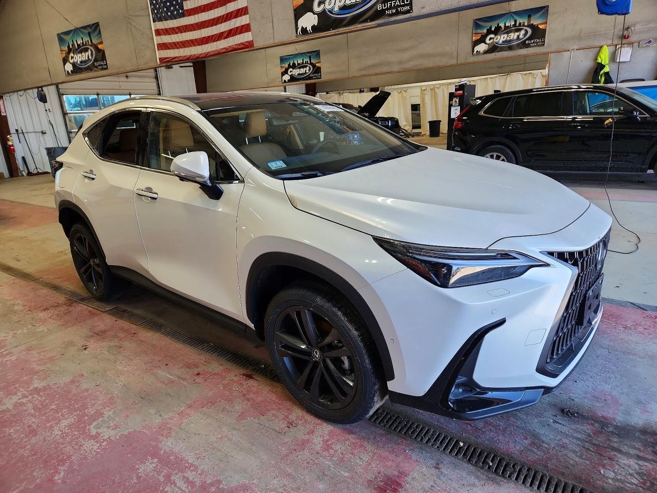 2025 Lexus Nx 450H Luxury - Фото 4