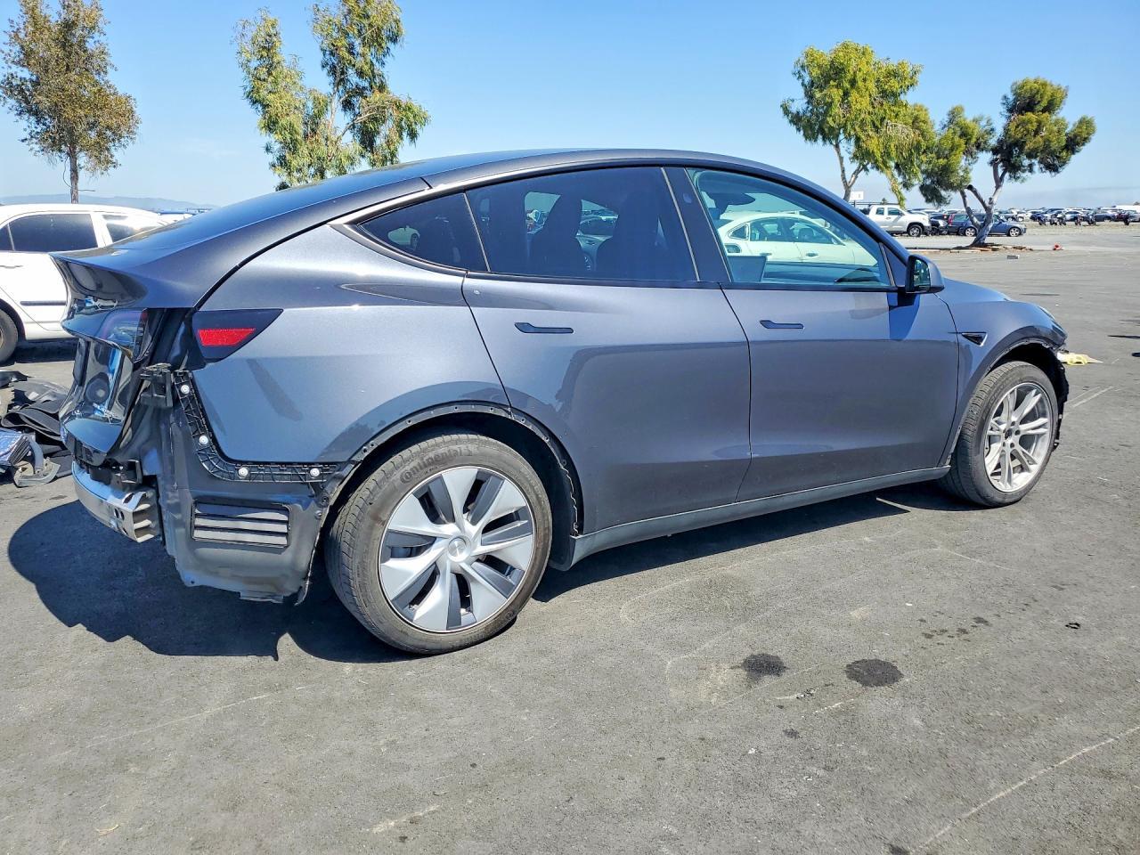 2023 Tesla Model Y - Фото 3