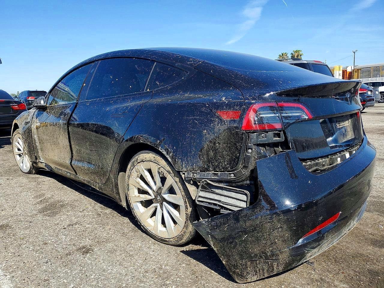 2023 Tesla Model 3 - Фото 2