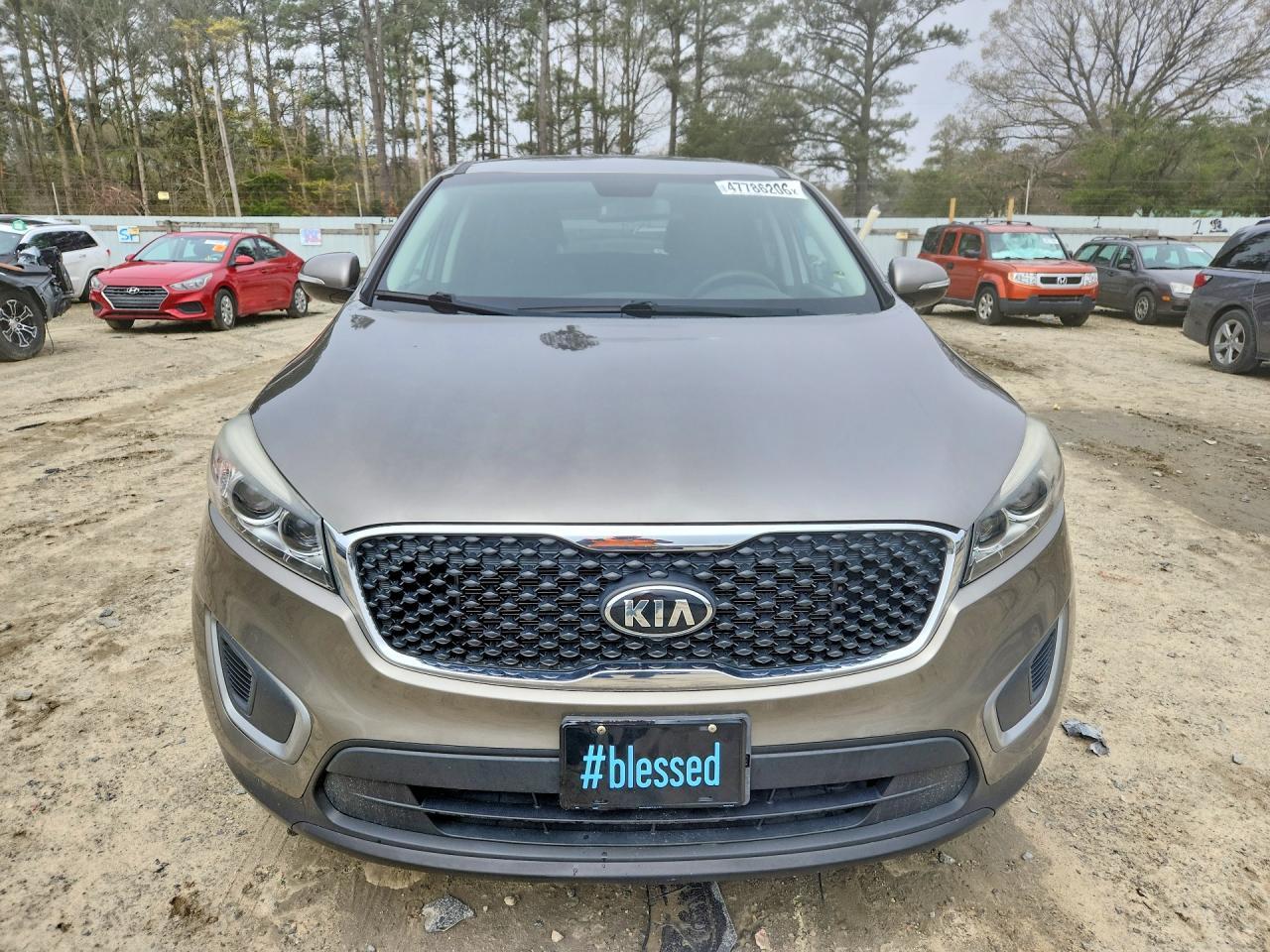2017 Kia Sorento - Image 5
