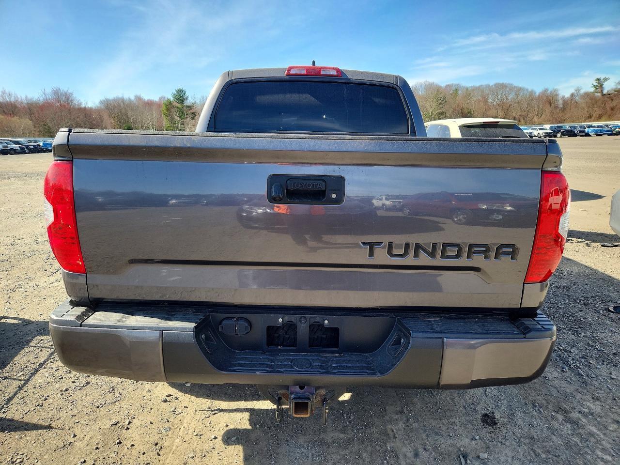 2020 Toyota Tundra Trd Pro - Фото 6