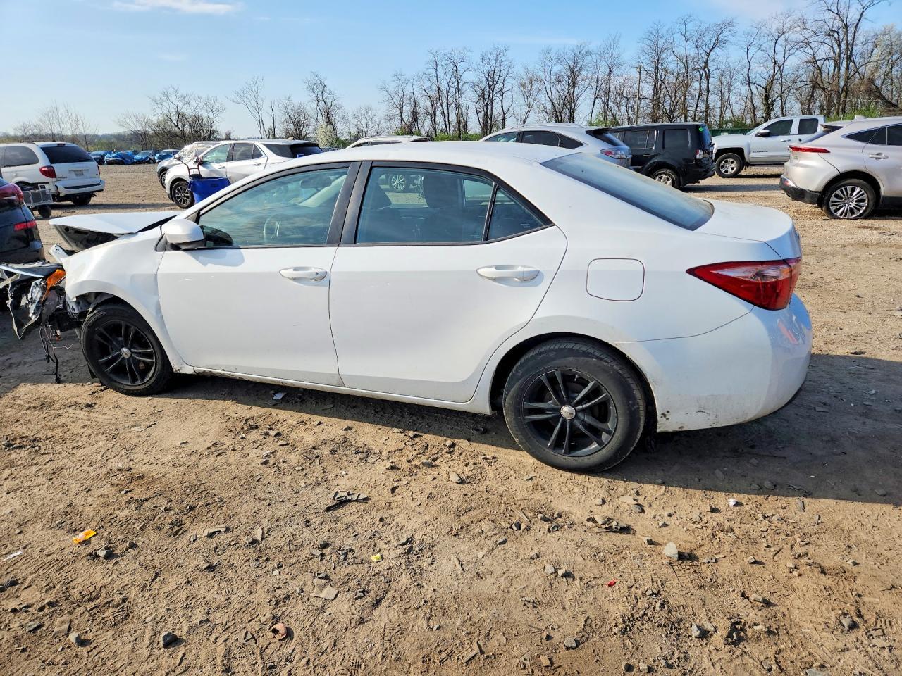 2019 Toyota Corolla Le - Фото 2