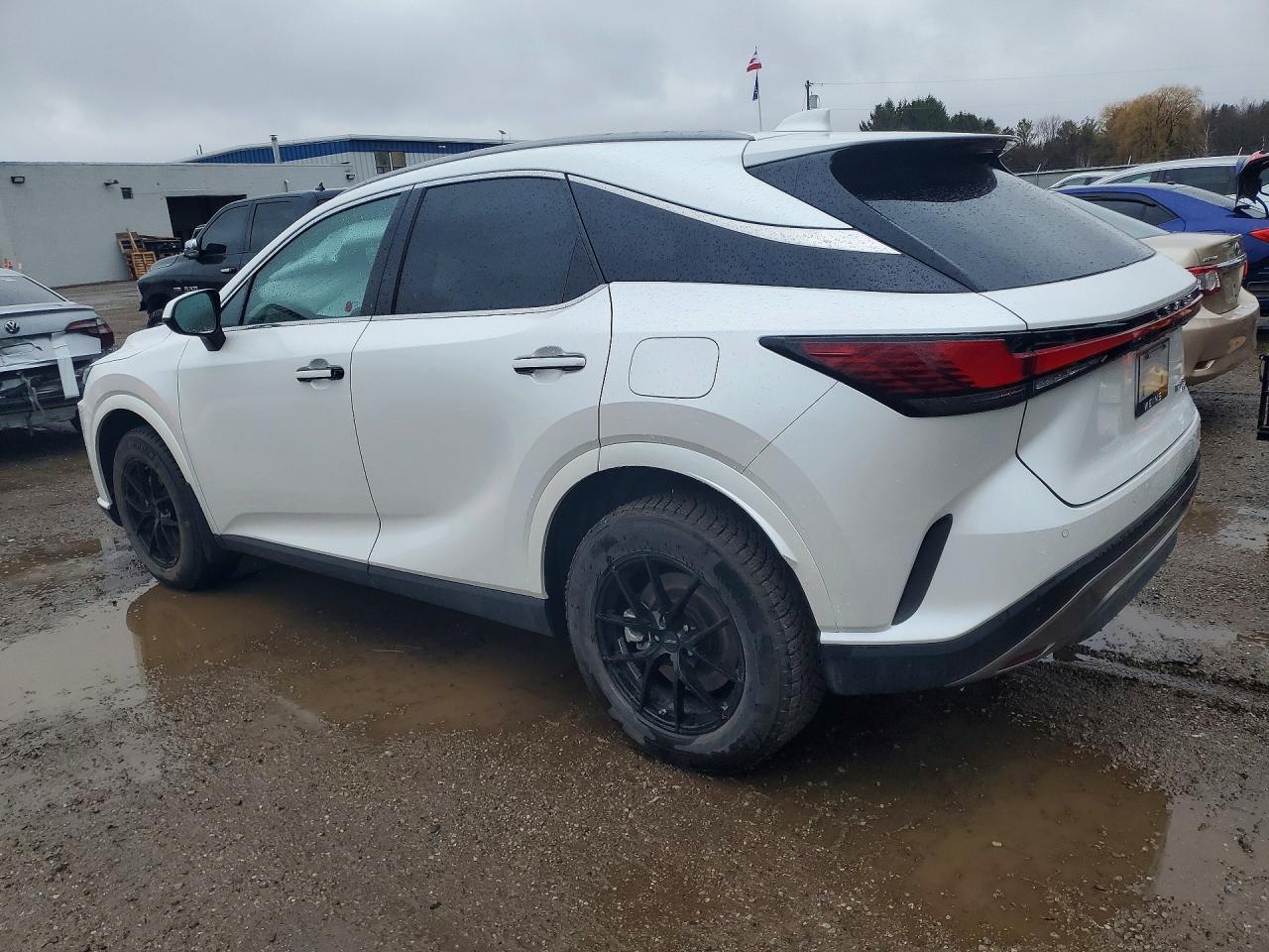2025 Lexus Rx 350H Base - Фото 2