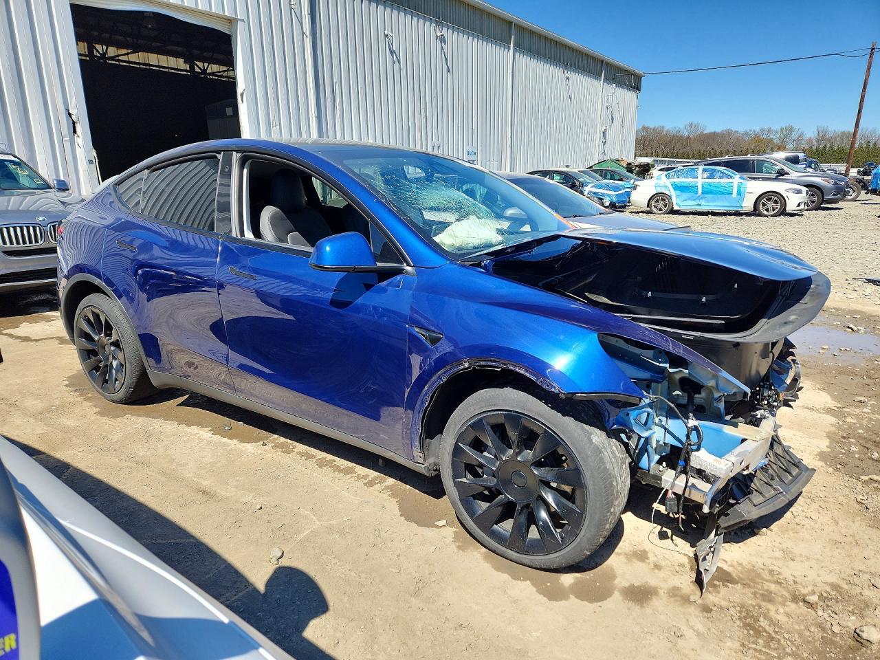 2023 Tesla Model Y - Фото 4