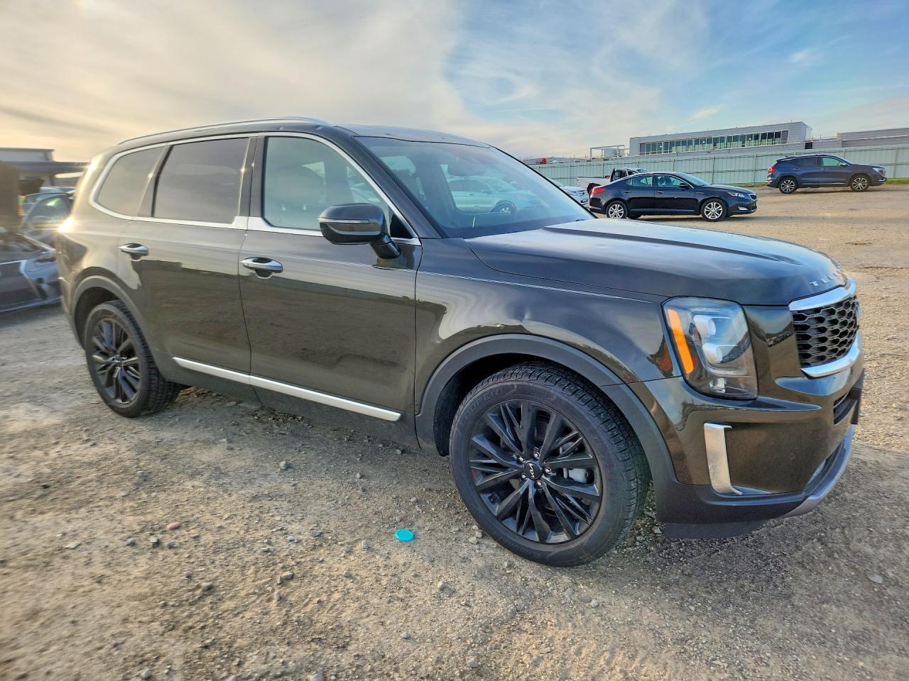 2022 Kia Telluride Sx - Фото 4