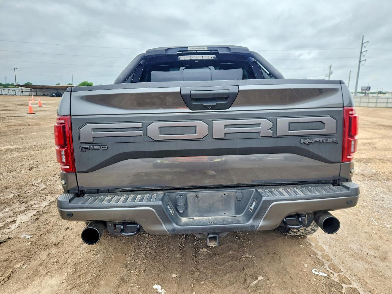2020 Ford F-150 Raptor - Фото 6