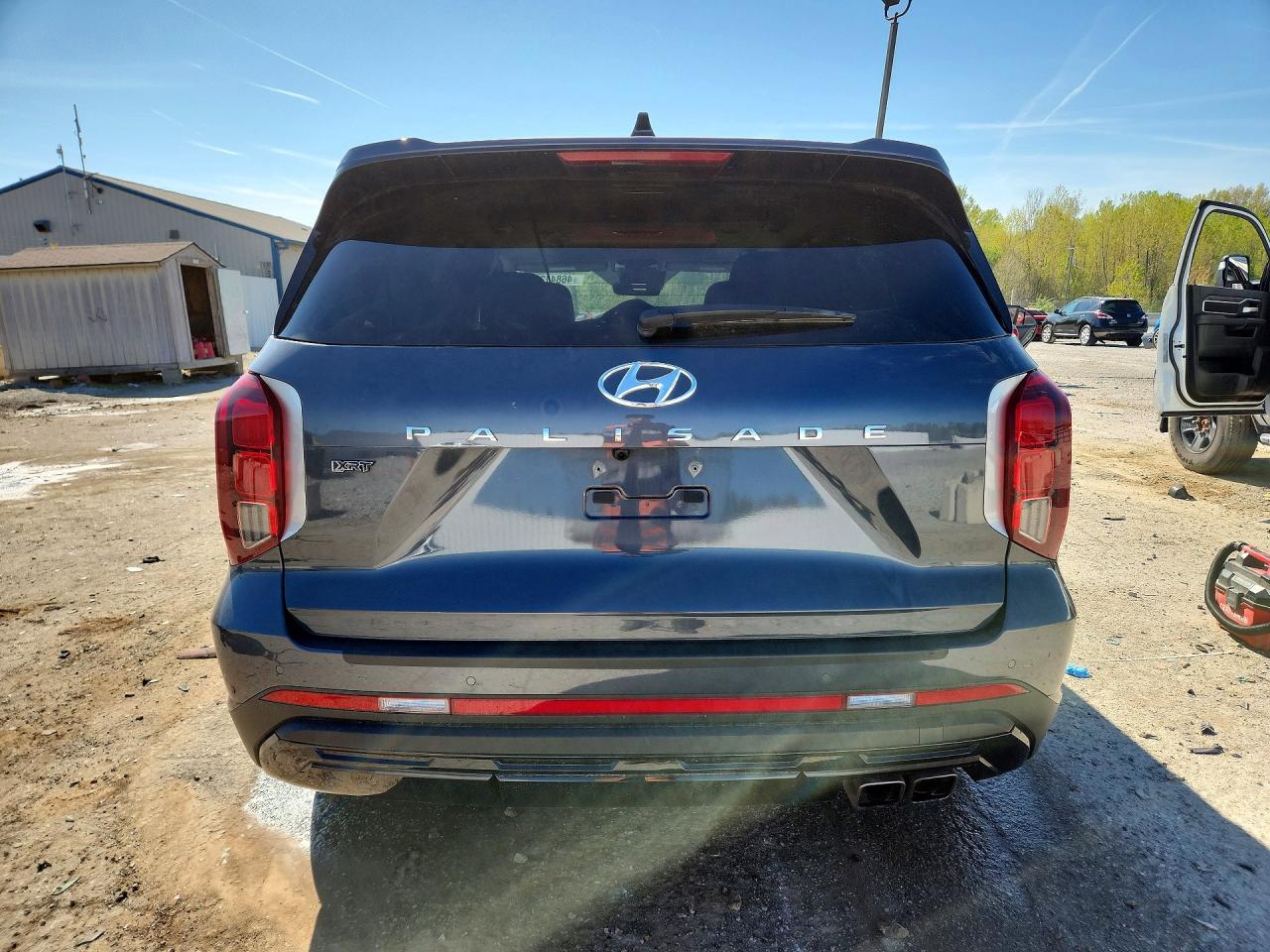 2025 Hyundai Palisade Xrt - Фото 6
