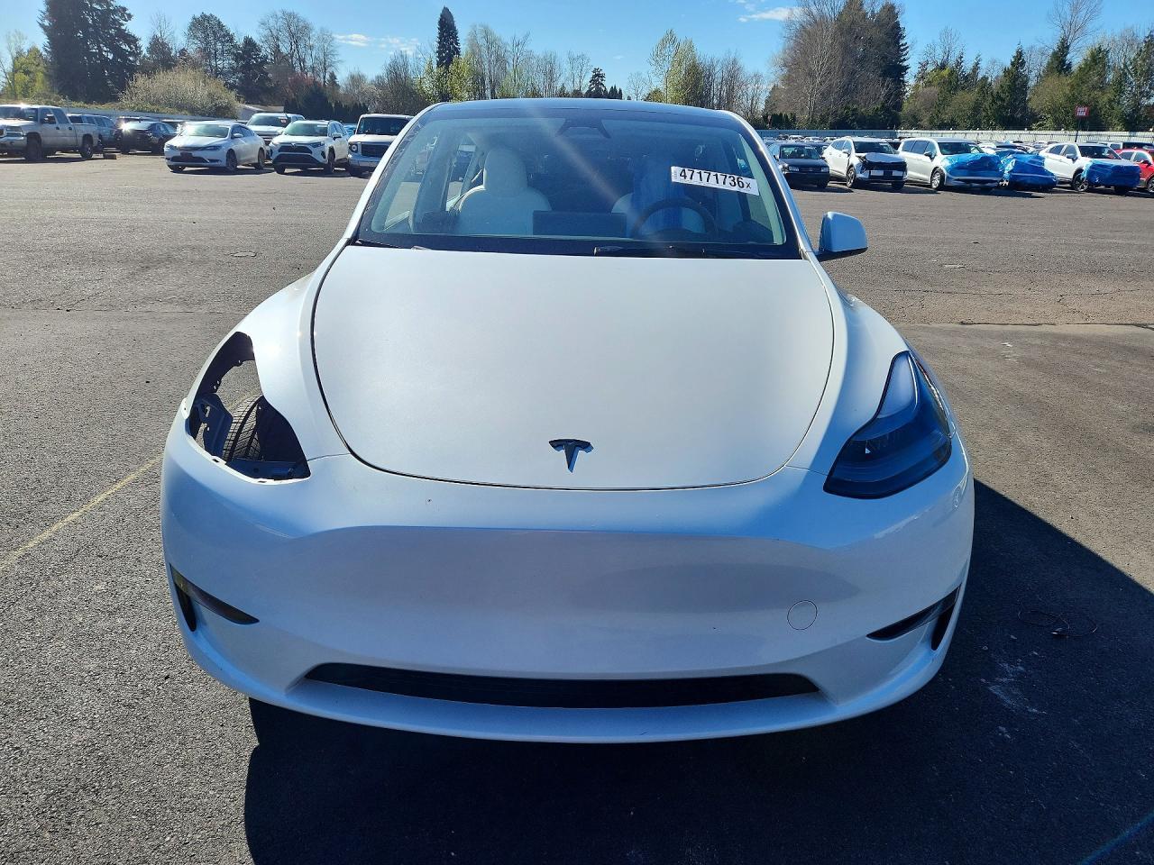 2024 Tesla Model Y - Фото 5