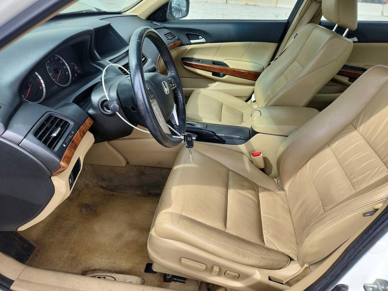 2011 Honda Accord Exl - Image 7