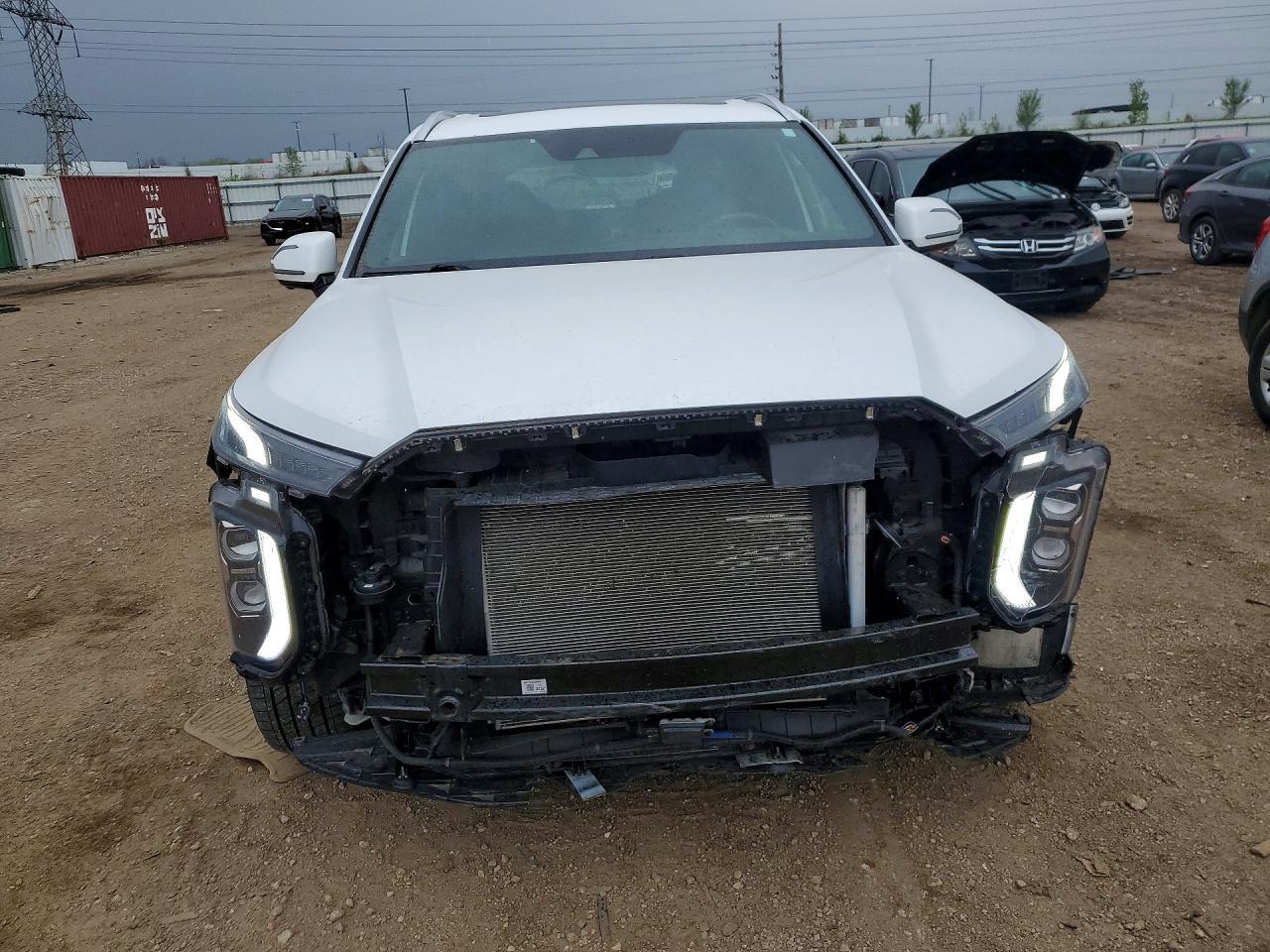 2020 Hyundai Palisade Limited - Фото 5
