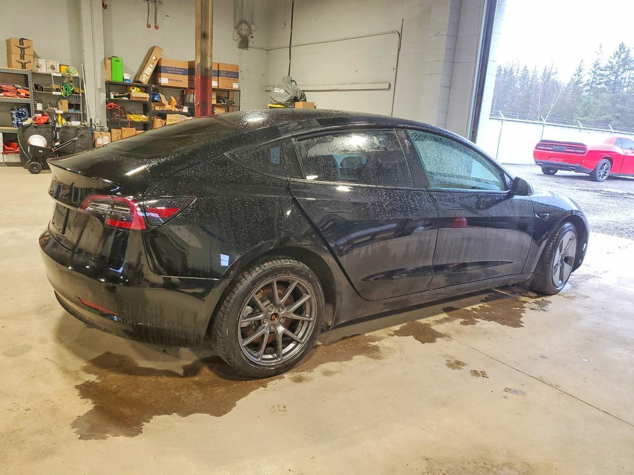 2022 Tesla Model 3 - Фото 3