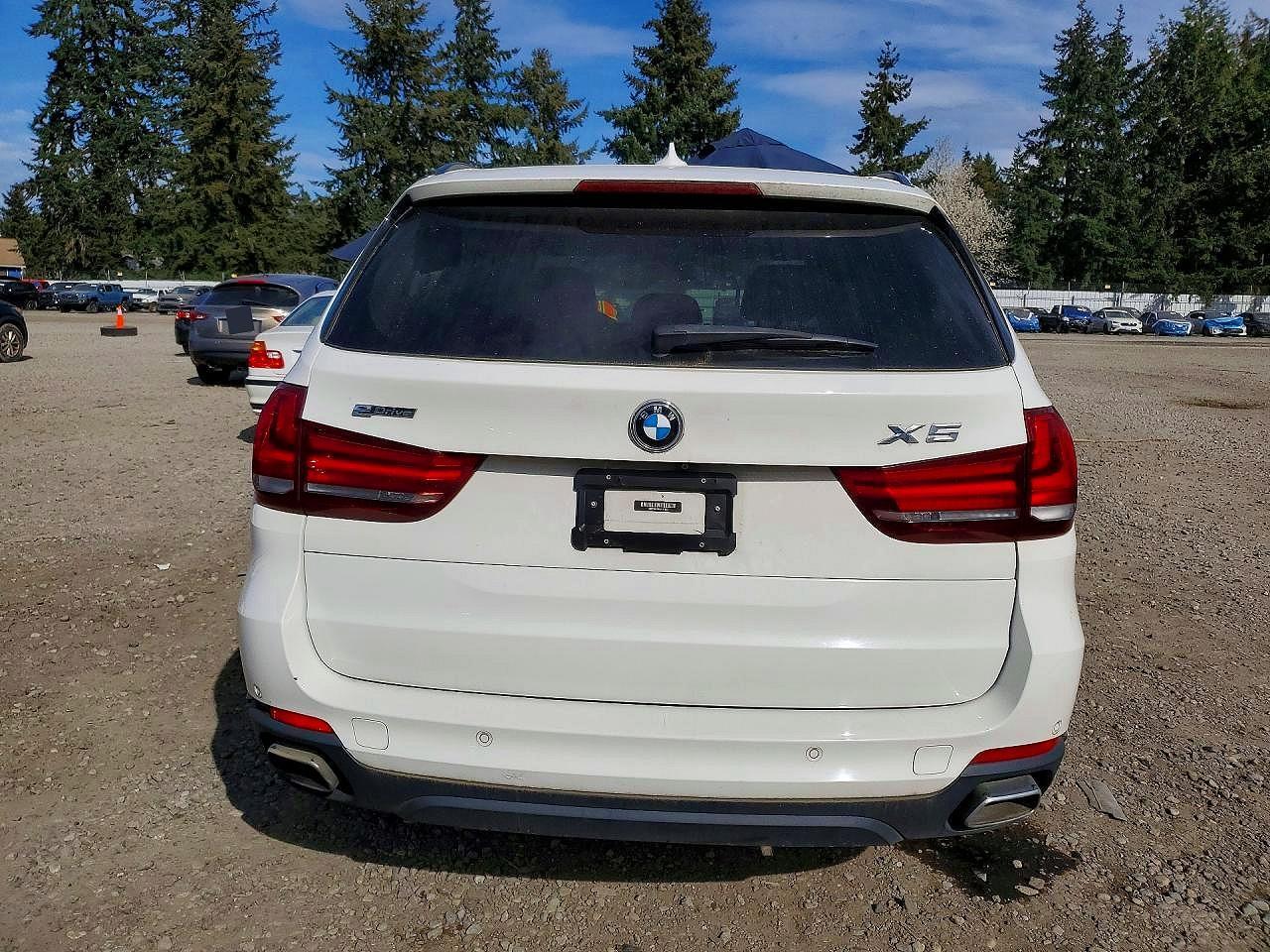 2016 BMW X5 Xdr40E - Фото 6