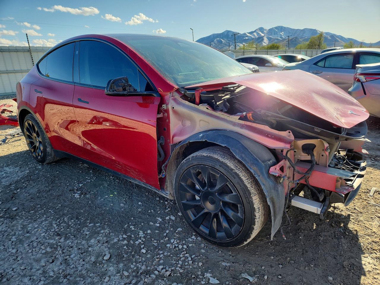 2023 Tesla Model Y - Фото 4