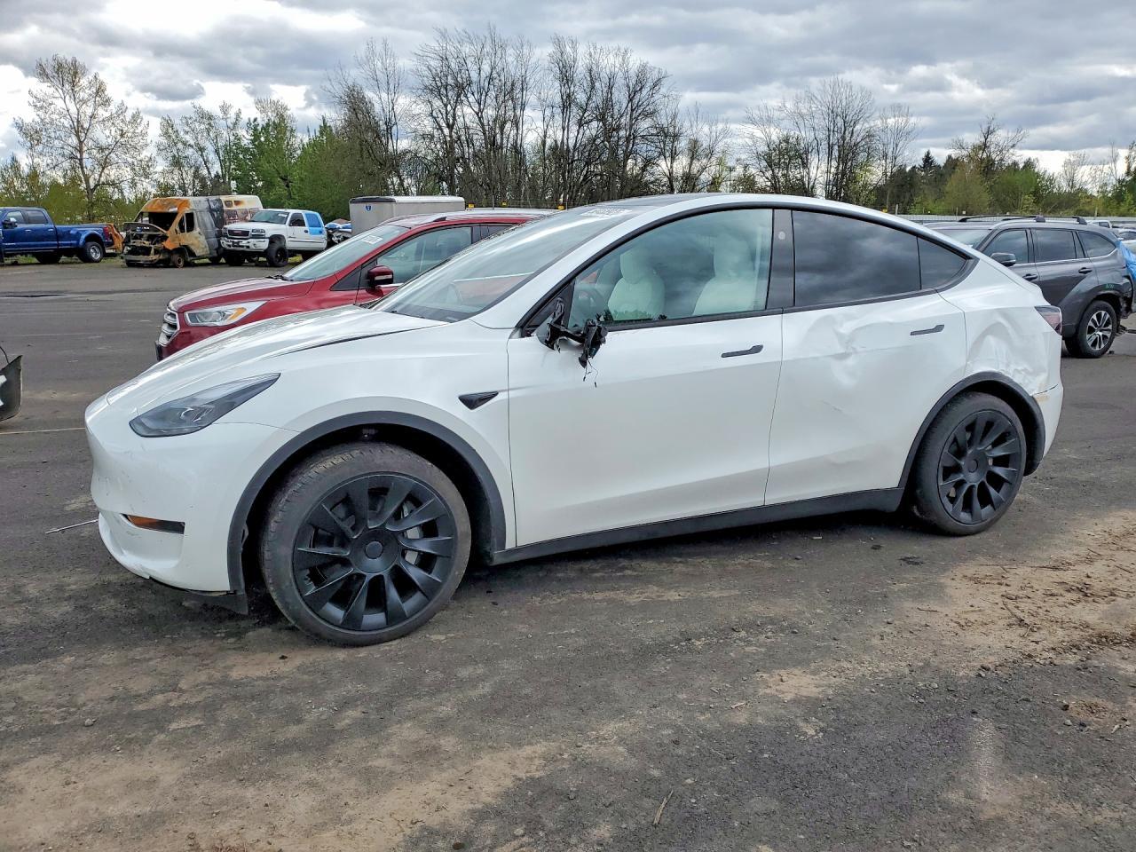 2025 Tesla Model Y