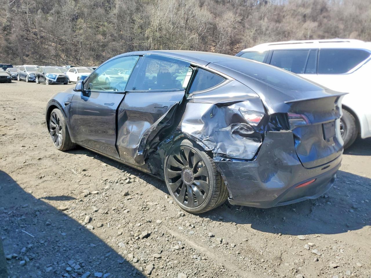 2025 Tesla Model Y - Фото 2
