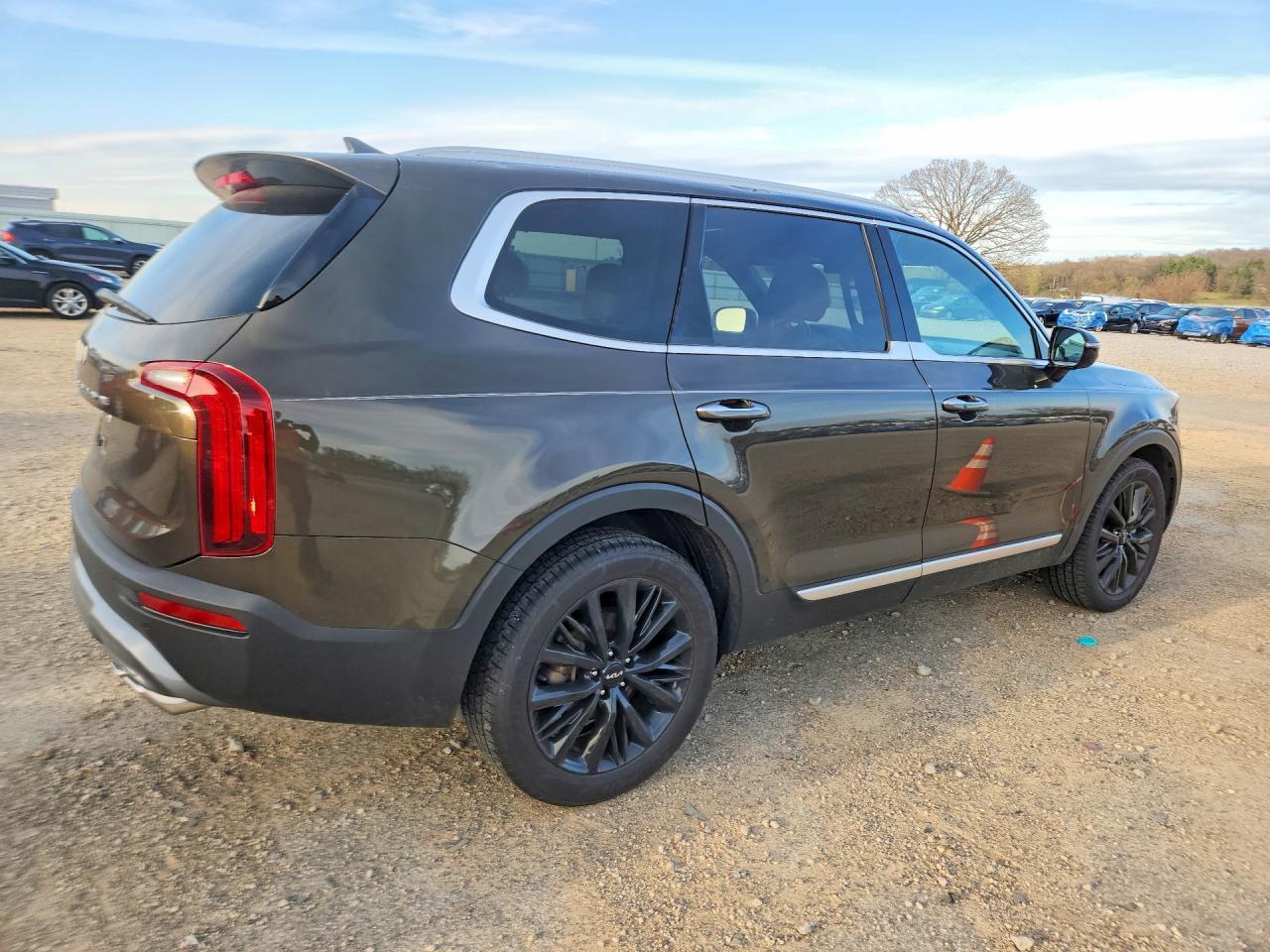 2022 Kia Telluride Sx - Фото 3