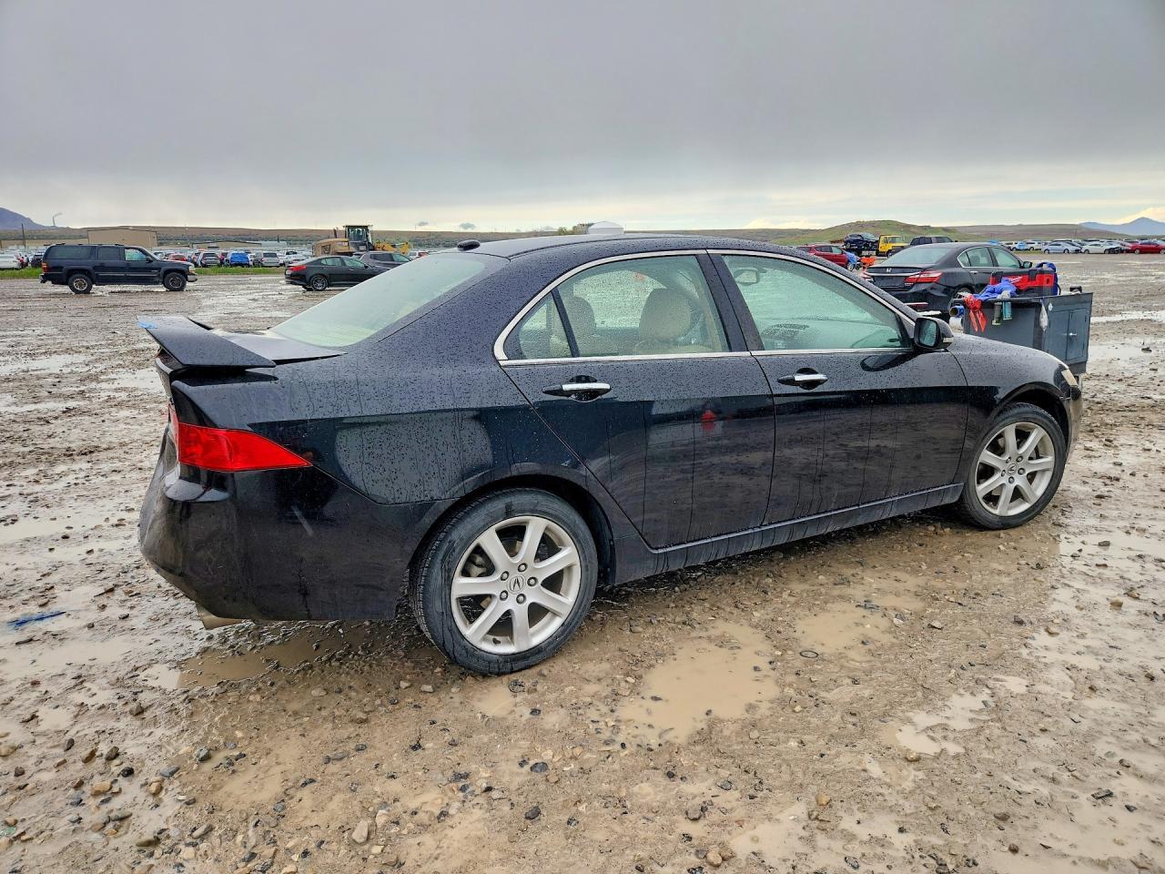2005 Acura Tsx - Image 3