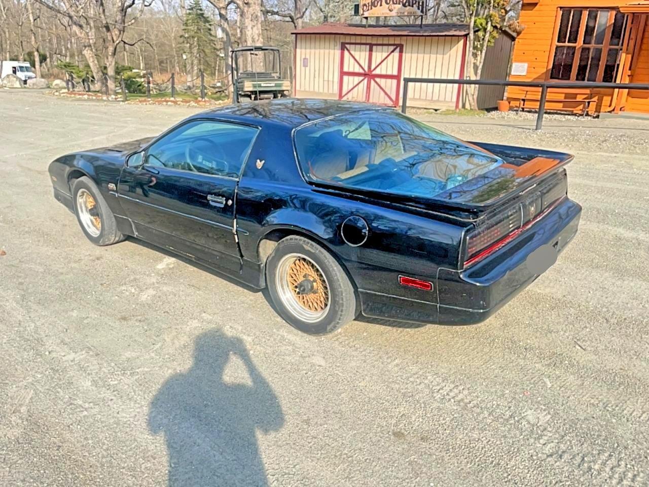 1988 Pontiac Firebird Trans Am - Фото 3