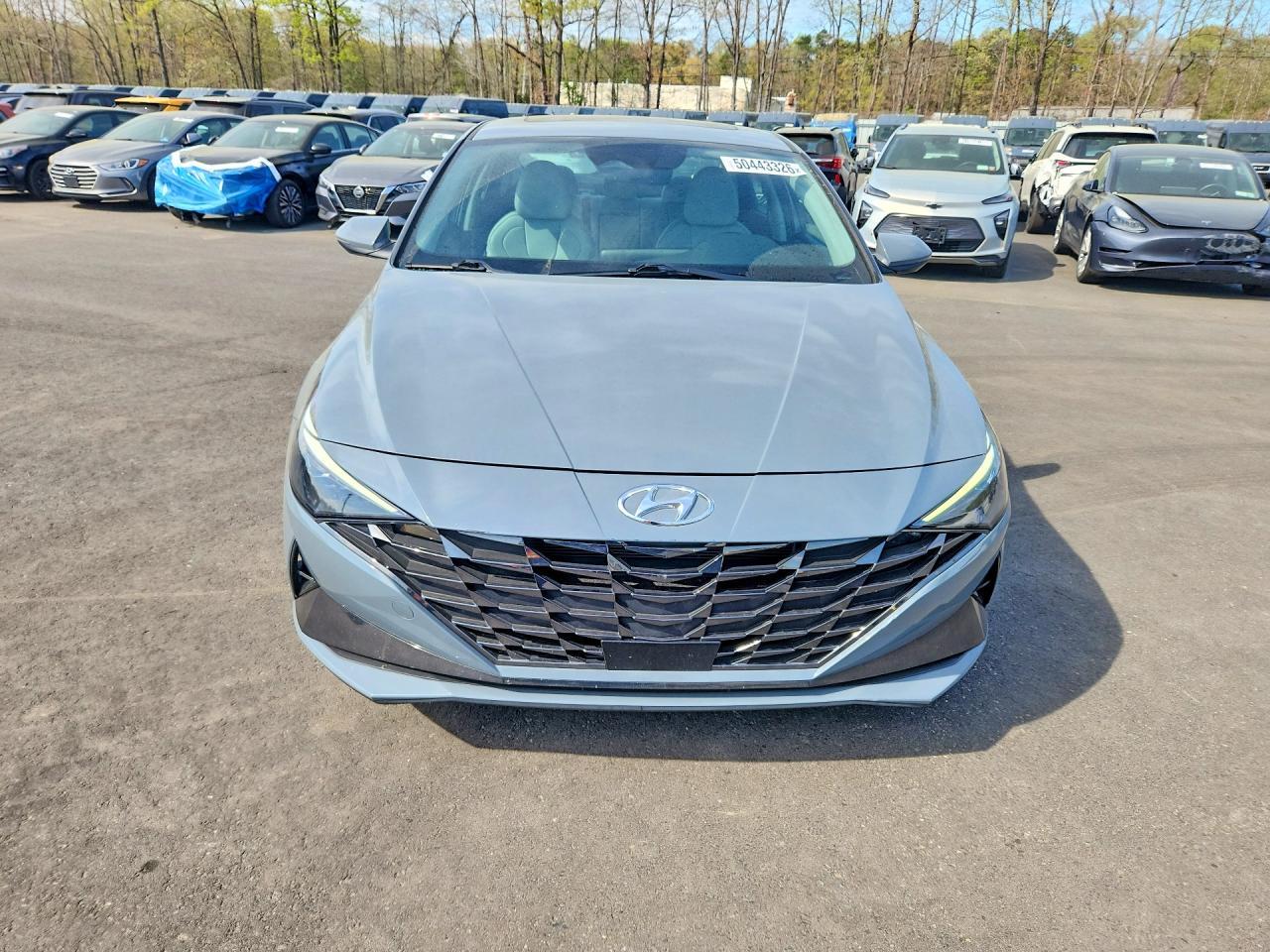 2023 Hyundai Elantra Limited - Image 5