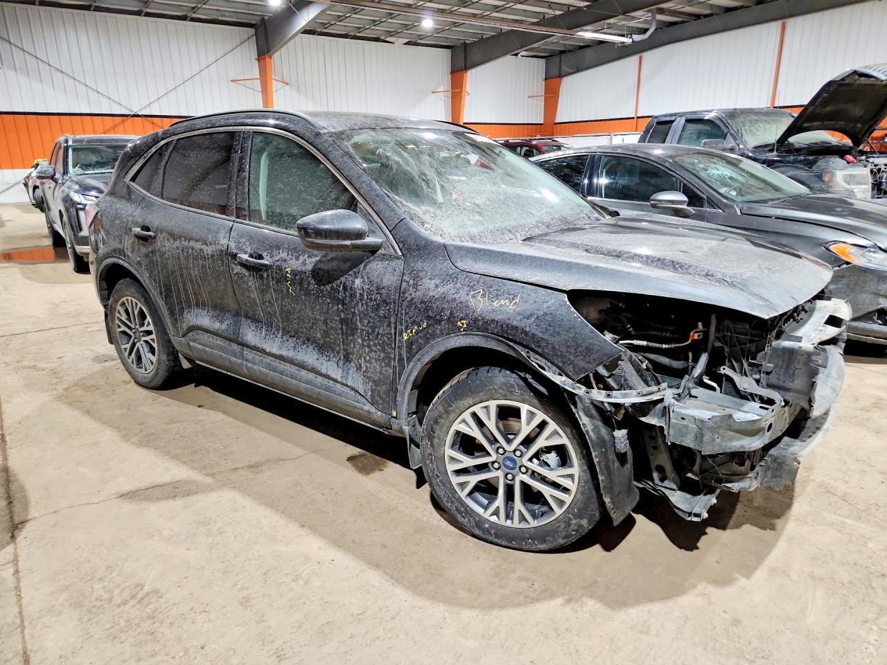 2022 Ford Escape Sel - Фото 4