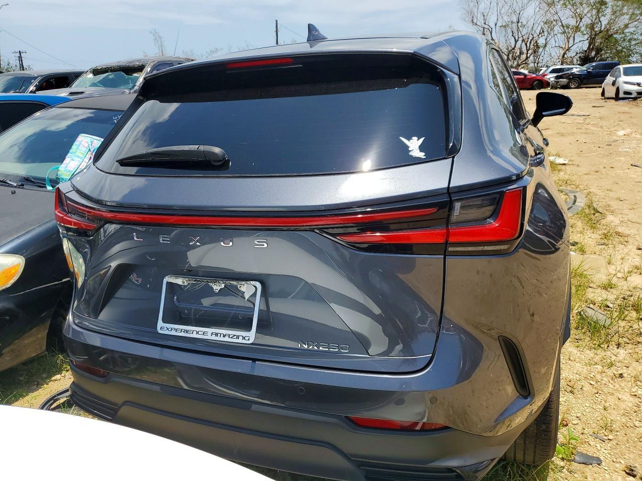 2024 Lexus Nx 250 Premium - Image 6