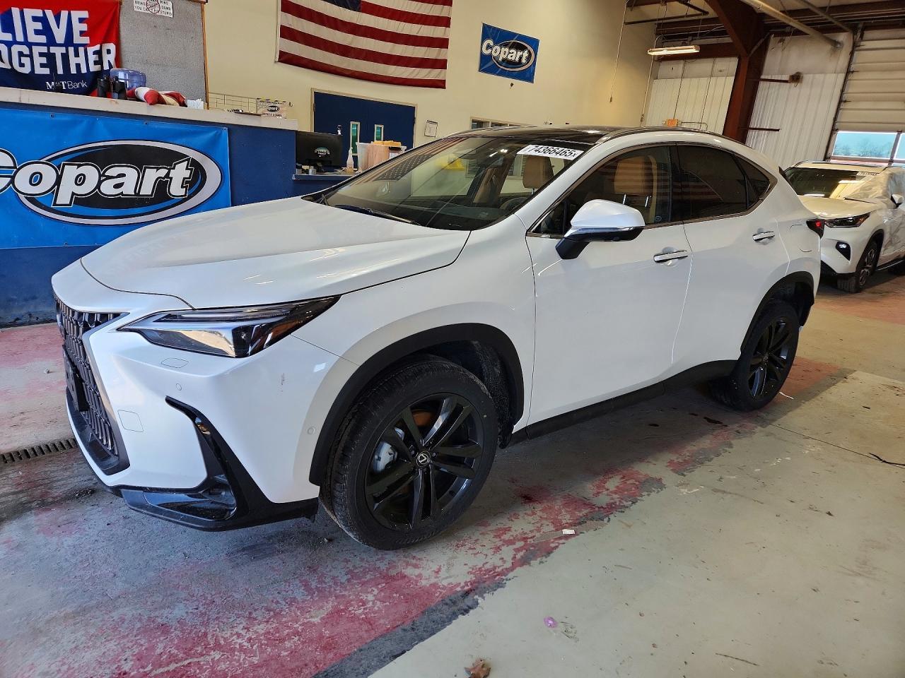 2025 Lexus Nx 450H Luxury