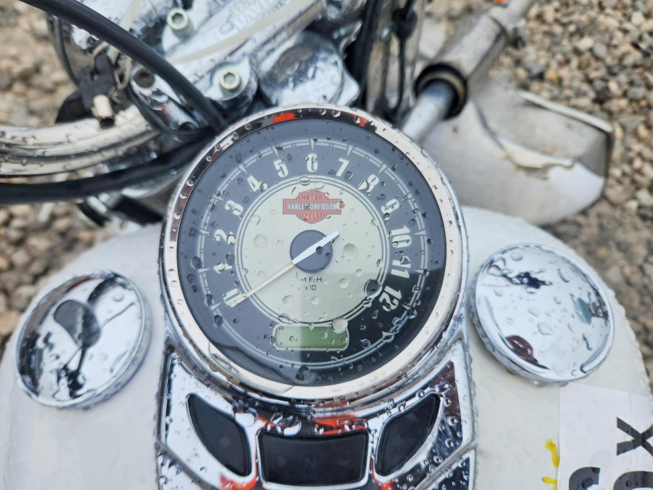 2009 Harley-Davidson Flstc - Фото 7