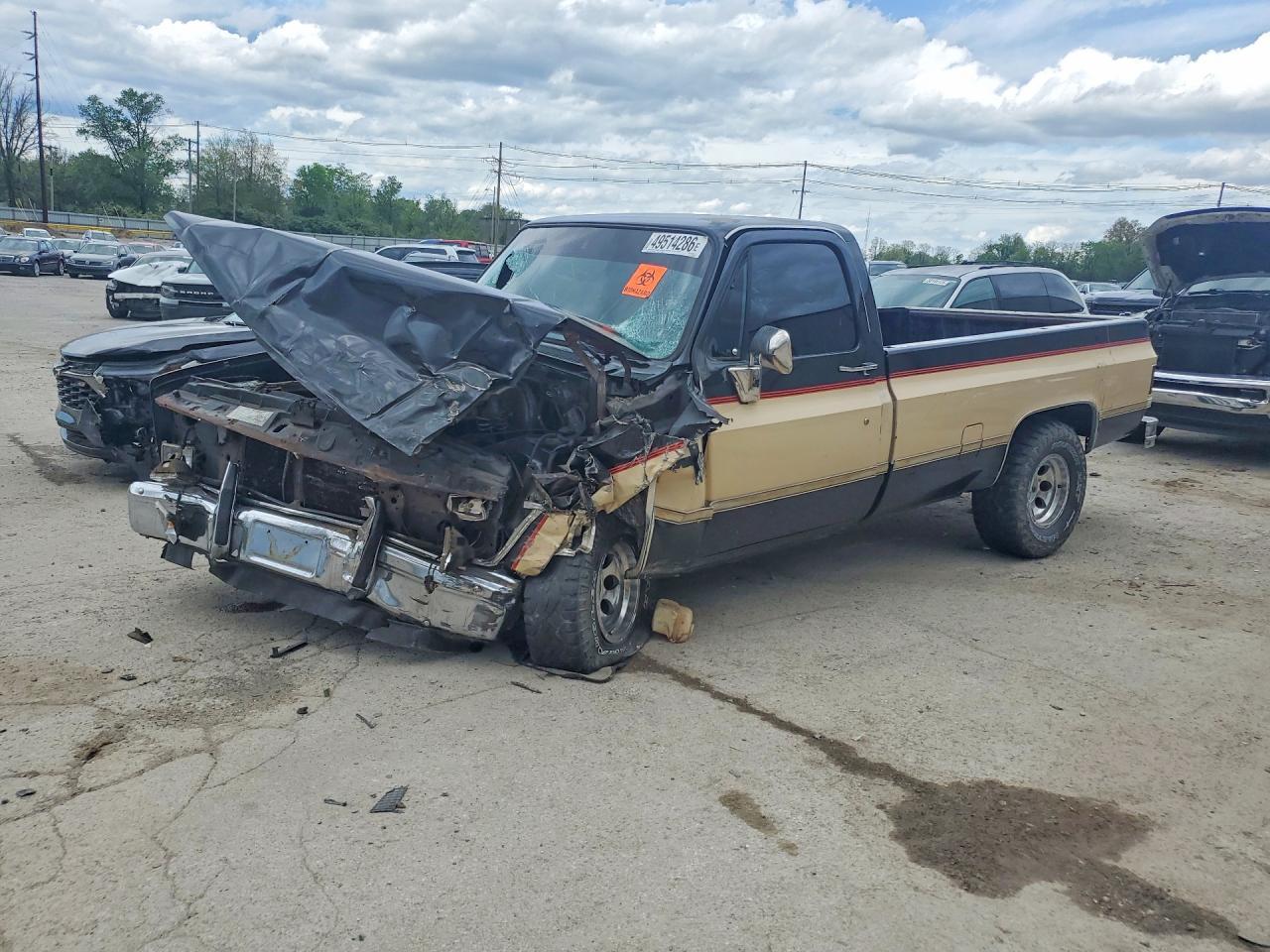 1984 Chevrolet C10 Fleetside W/Long