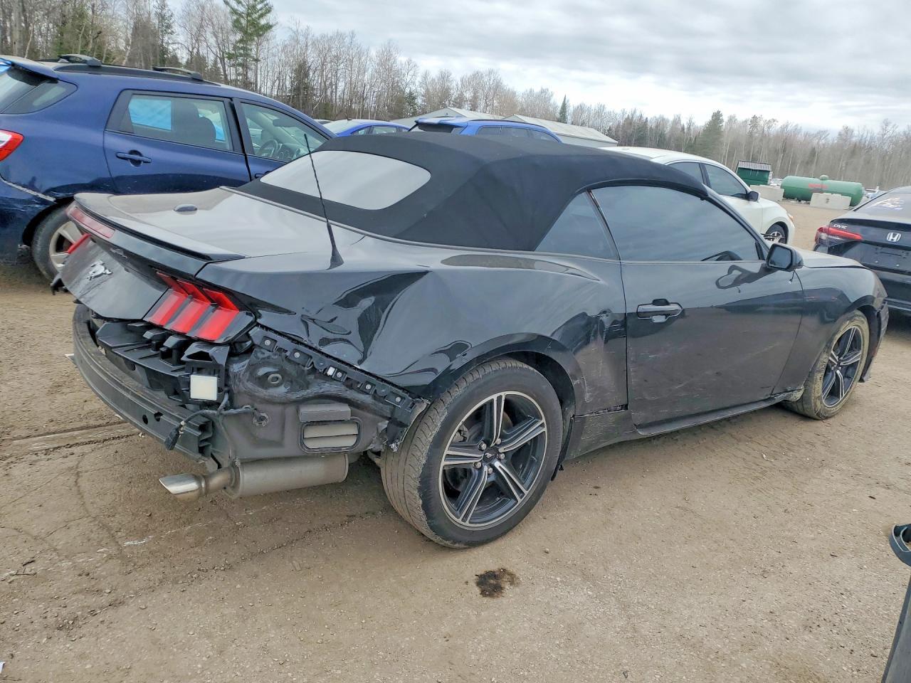 2024 Ford Mustang - Фото 3