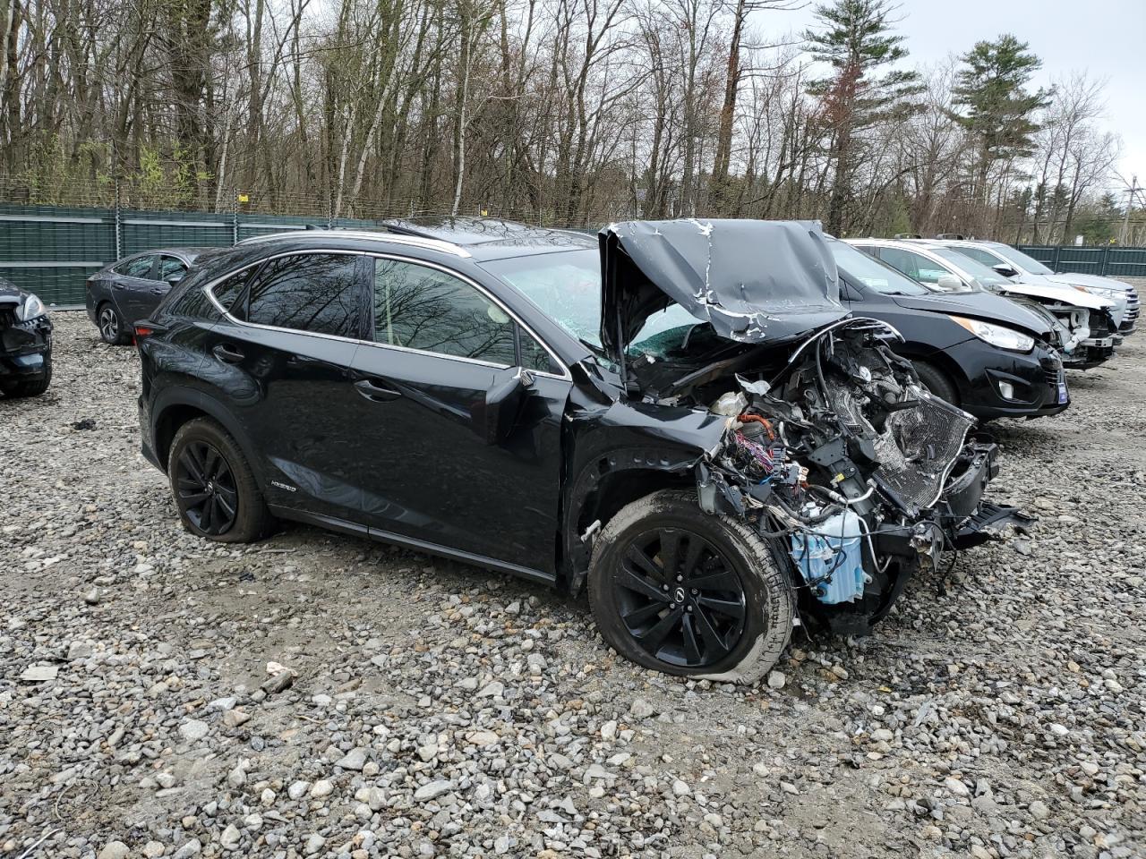 2018 Lexus Nx 300H - Image 4