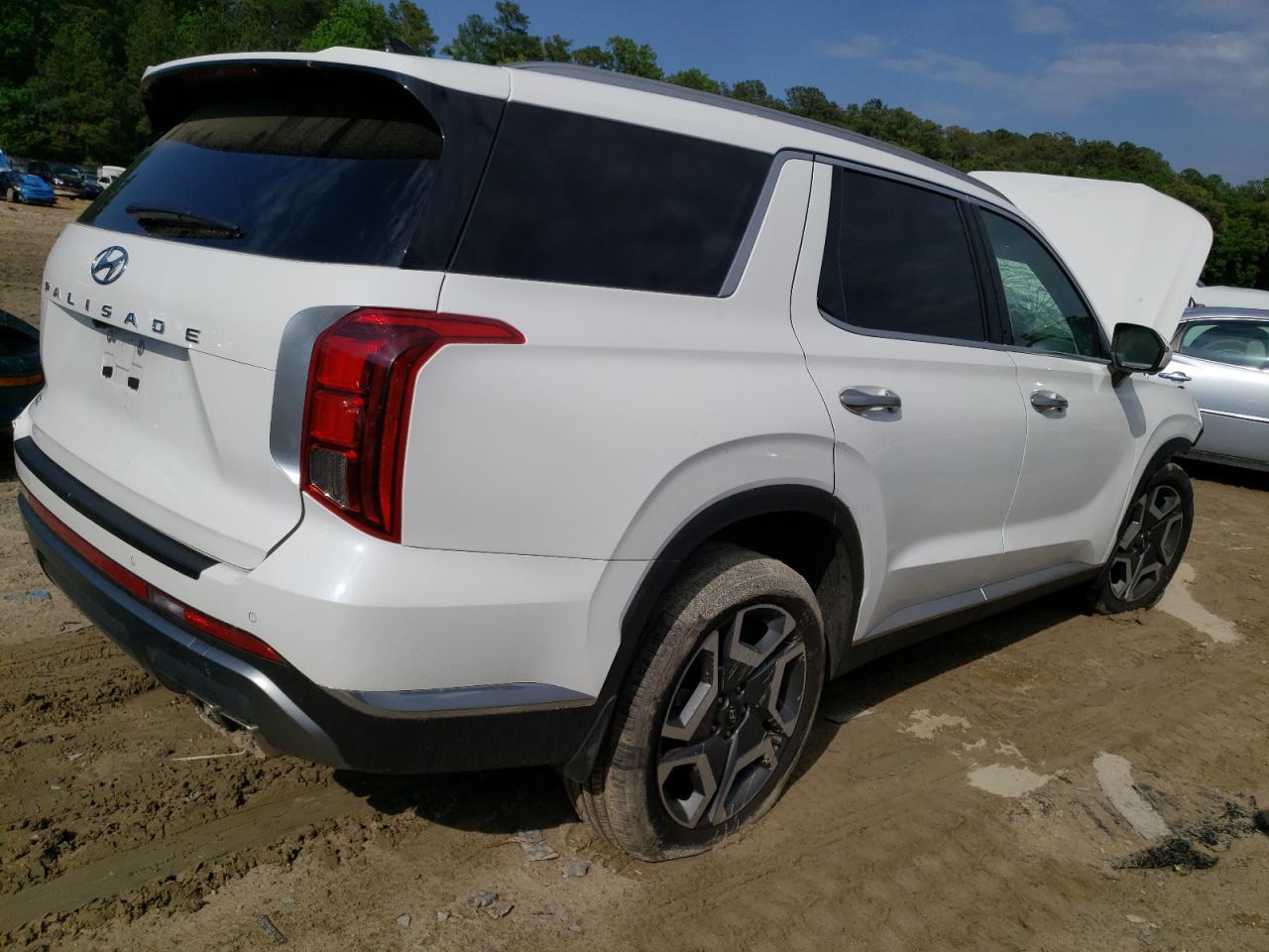 2024 Hyundai Palisade Limited - Image 3